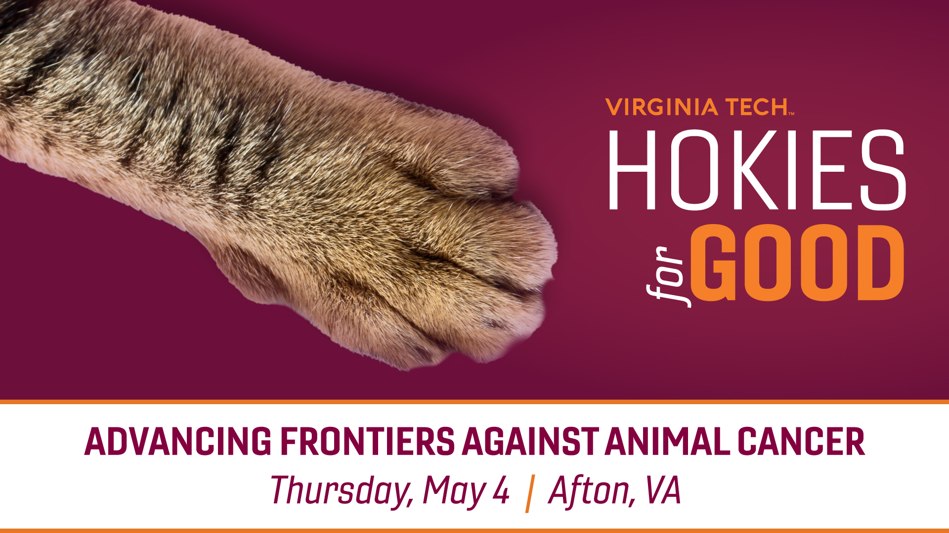 Hokies for Good: Advancing Frontiers Against Animal Cancer